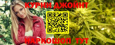 Альфа ПВП Камень-на-Оби