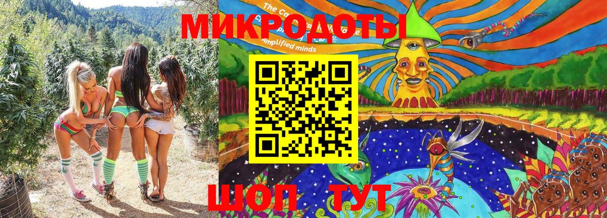 Галлюциногенные грибы Psilocybine cubensis  Вход с VPN  Набережные Челны 